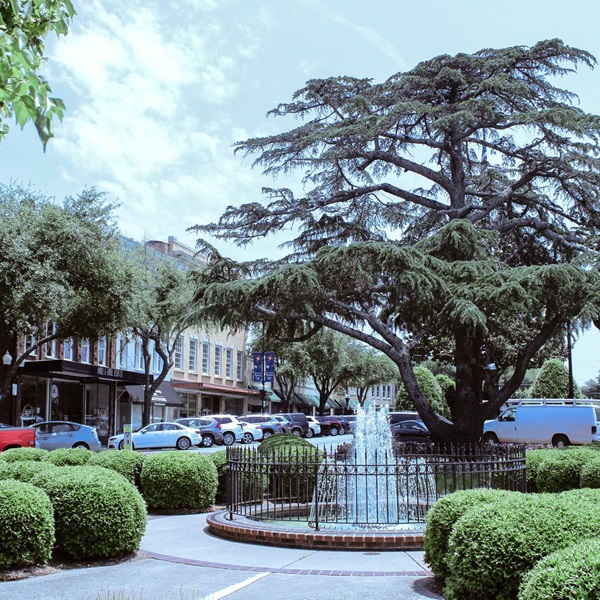 Forest City Pavilion is a popular community gathering spot that hosts various events, including concerts and festivals, and features a picturesque setting for outdoor activities. 