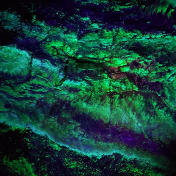 One of the unique attractions at Emerald Village is the underground blacklight mine tour where a blacklight makes certain minerals fluorescent. 