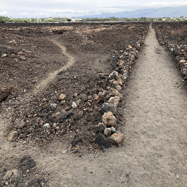 The Ala Kahakai National Historic Trail is a network of traditional and historical Hawaiian trails that span approximately 175 miles along the coastline of the island of Hawaii (the Big Island). 