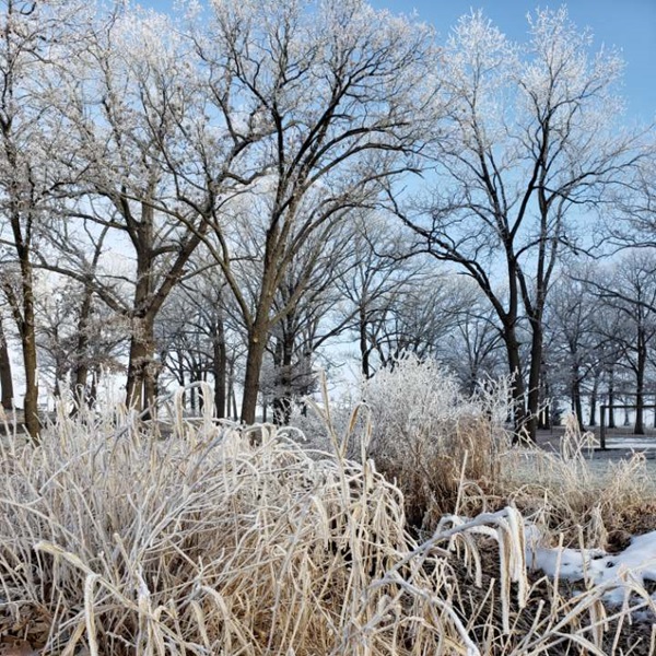Nearby natural areas like Rush Creek Conservation Area and Lawrence Woods State Nature Preserve offer opportunities to explore the region's scenic landscapes and wildlife habitats. 