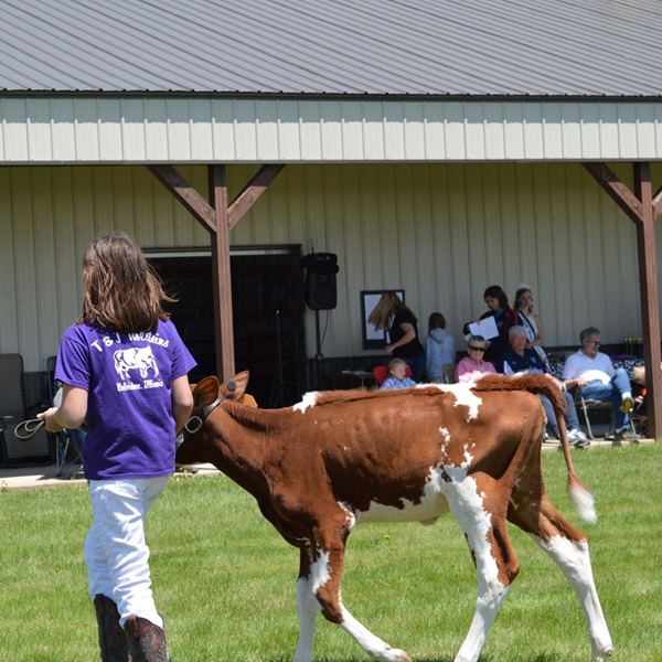 From milk-drinking contests and ice cream socials to cheese tastings and butter sculpting competitions, there's something for everyone to indulge in at the festival. 