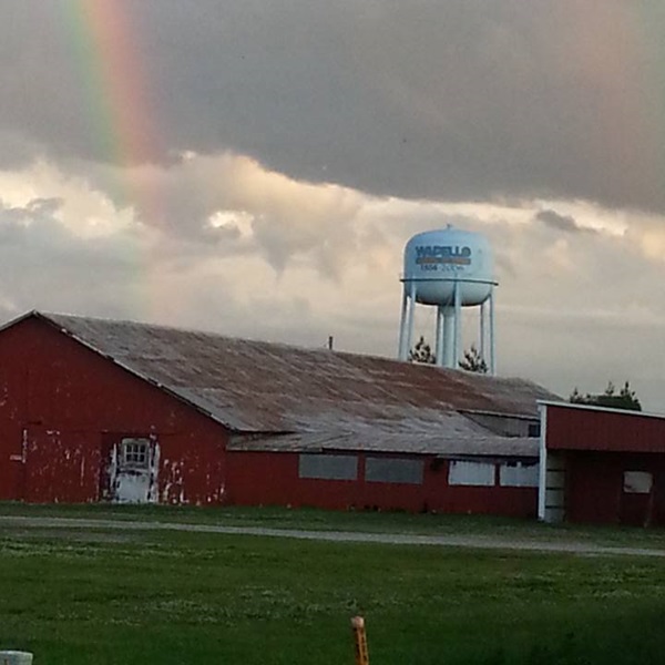 Explore charming small towns within the county, each with its own unique character and historical significance. 