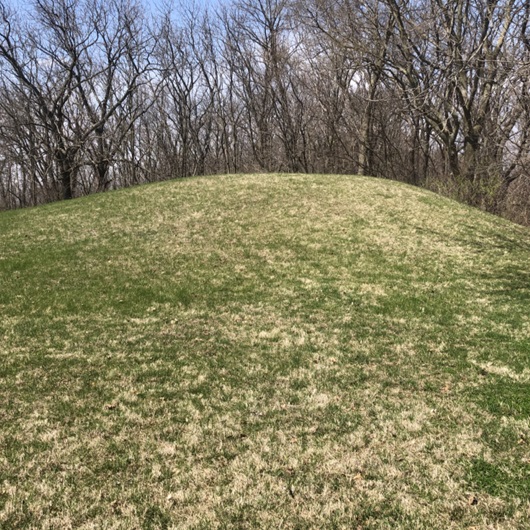 The Toolesboro Mound Group is an important archaeological site featuring ancient Native American burial mounds that date back to the Woodland period. 