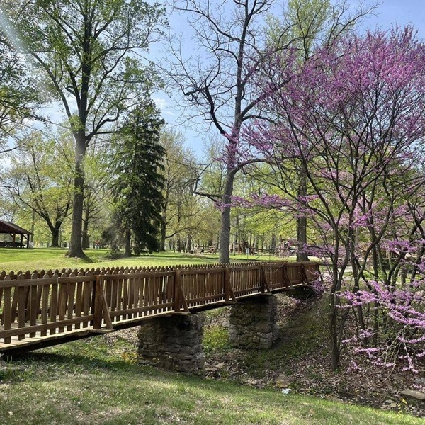 Forest Park is a large city park that is a central recreational spot in Brazil, offering amenities such as walking trails, playgrounds, and picnic areas. 