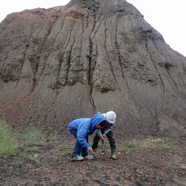 The site is known for its diverse array of fossils, including plants, insects, and marine life, with notable specimens like ferns, spiders, and ancient fish. 