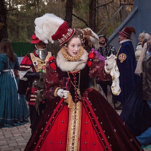 Louisiana Renaissance Festival    - Webpage Image
