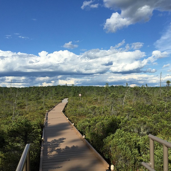 A scenic boardwalk that allows visitors to explore the unique ecosystem of the Orono Bog, with opportunities for wildlife viewing and nature walks. 