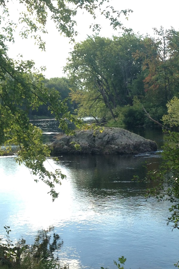 The Town of Orono  - Display Image