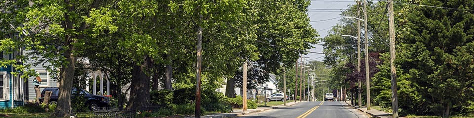 Town of Mardela Springs MD  - Header Image