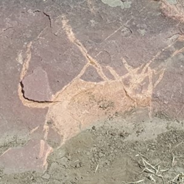 These petroglyphs are estimated to be between 7,000 and 10,000 years old. 
