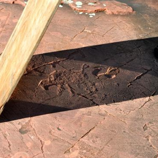 The site features walking trails that lead visitors to various petroglyphs carved into the rock surfaces, offering a close-up view of these ancient artworks. 