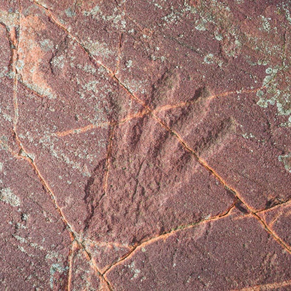 Jeffers Petroglyphs  - Webpage Image