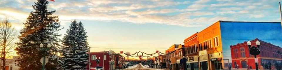 Springfield MN Chamber of Commerce  - Header Image