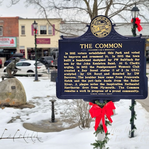 Plymouth is a small town in Grafton County, known for its vibrant college atmosphere, historic downtown, and proximity to outdoor recreational activities. 