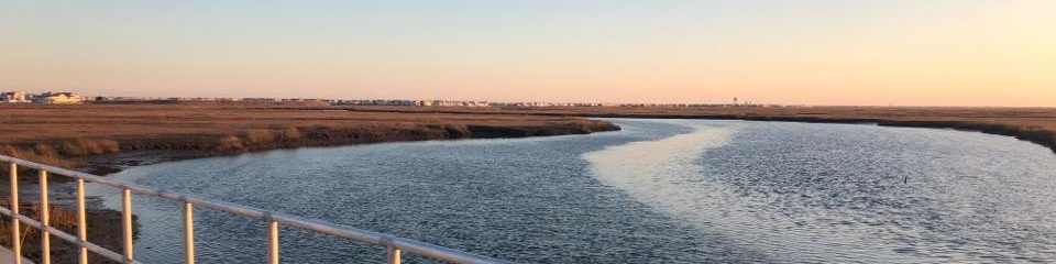 Cape May County  - Header Image