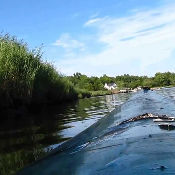 Along the banks of the Tuckahoe River, paddlers may encounter historic sites and landmarks that offer insights into the region's rich cultural heritage, including remnants of old mills and cranberry bogs. 