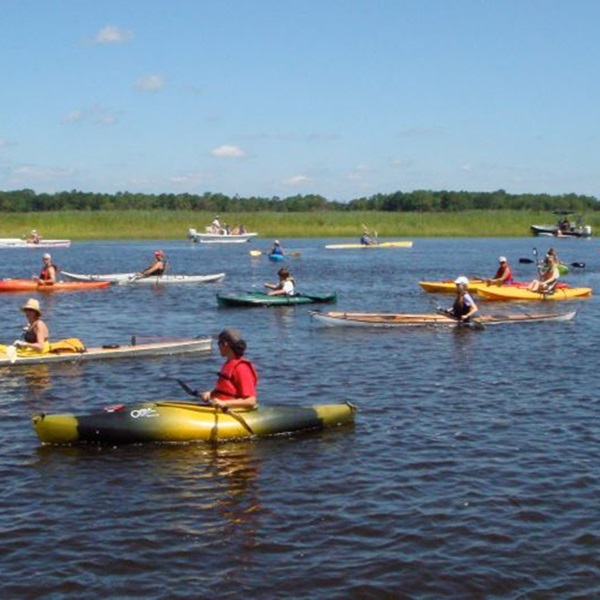 Tuckahoe River Paddling  - Webpage Image