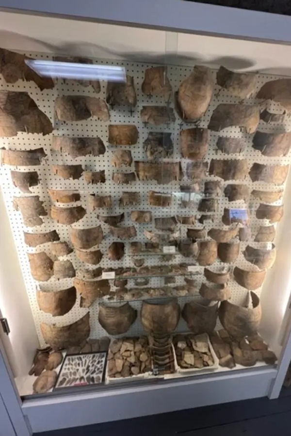 Alan Ewing Carman Museum of Prehistory - Display Image