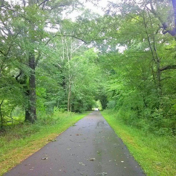 Flora provides opportunities for outdoor activities such as hiking, fishing, and nature walks in the scenic landscapes surrounding the town. 