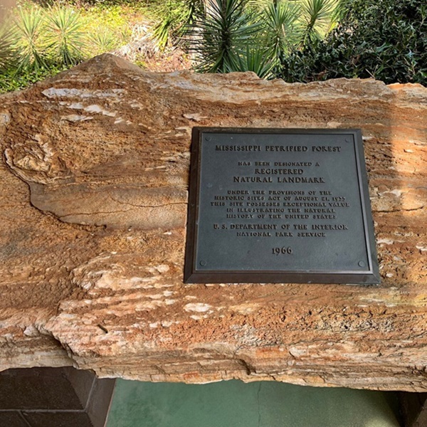 Self-guided tours offer informative signs along the trails that explain the significance of the petrified wood and the forest's history. 