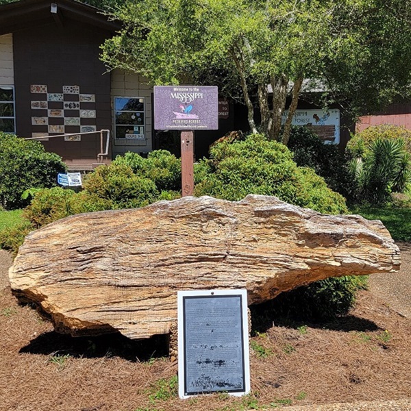 The attraction features well-maintained nature trails that guide visitors through the forest, showcasing large petrified logs and other geological formations. 