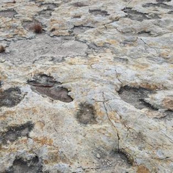 The Cretaceous–Paleogene (K-T) boundary is a globally significant geological layer that marks the mass extinction event approximately 66 million years ago. 