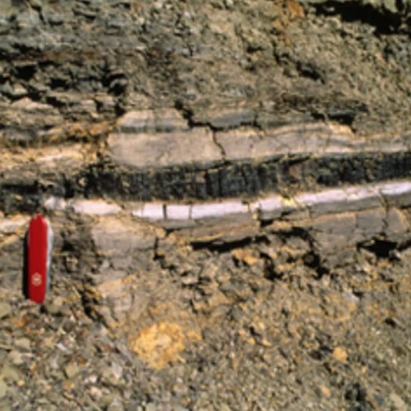 The K-T boundary is exposed in a well-preserved, easily accessible outcrop, allowing visitors to see the distinct layer of sediment that marks the transition between periods. 