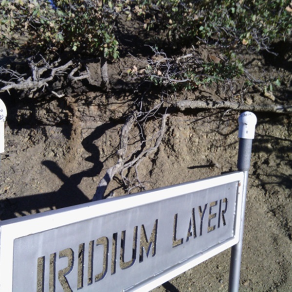The thin layer of iridium, common in asteroids, provides evidence supporting the asteroid impact hypothesis for the mass extinction event. 