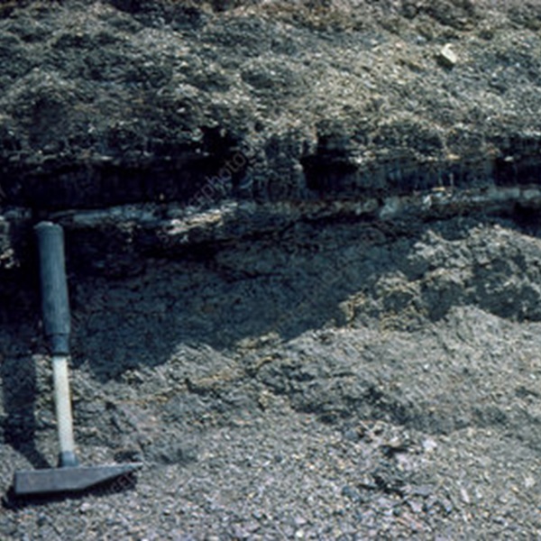 The site is of great interest to geologists and paleontologists because it provides direct evidence of one of the most significant events in Earth's history. 