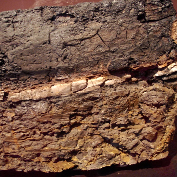Cretaceous–Paleogene (K-T) boundary  - Webpage Image