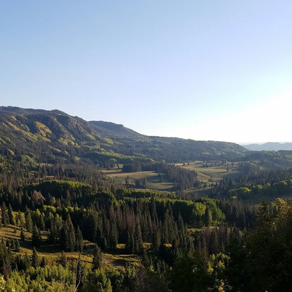 Chama is a popular destination for outdoor activities, including hiking, fishing, hunting, and wildlife watching.