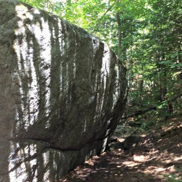 The boulders are set in a picturesque forest, providing a tranquil and scenic environment for climbing. 