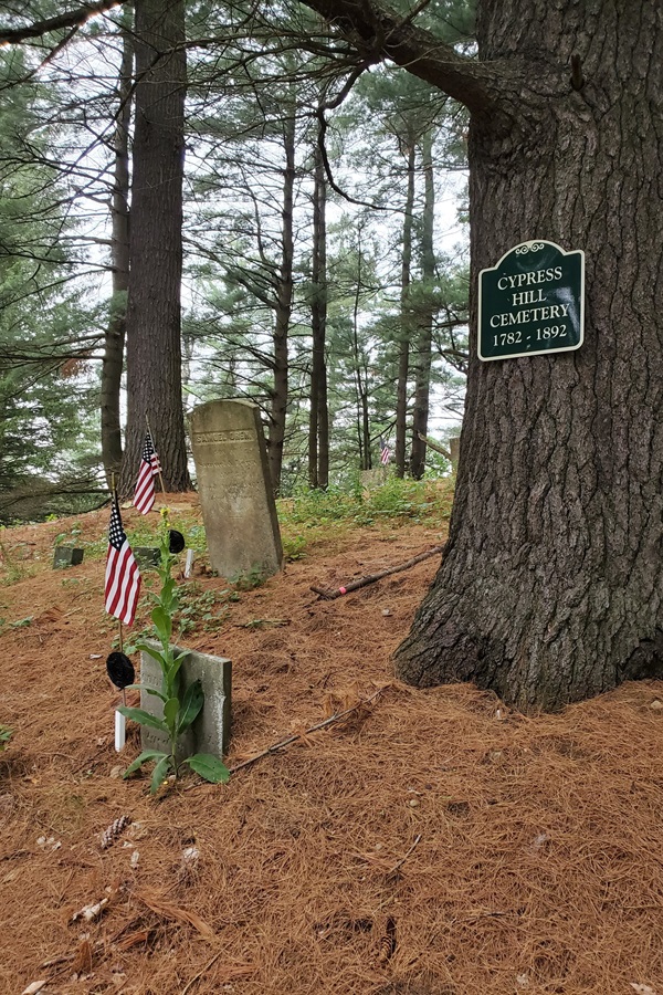 Town of New Lebanon  - Display Image
