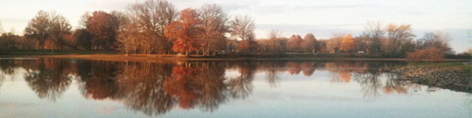City of Niles  - Header Image