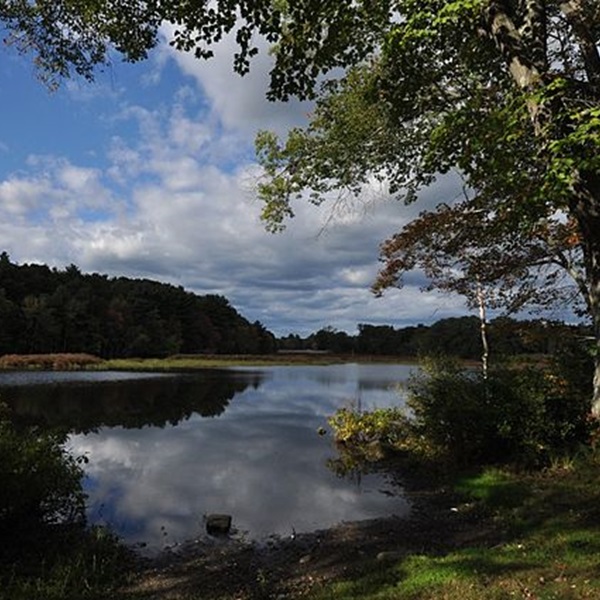 Quaddick State Park is ideal for a relaxing family day, and in the fall, visitors enjoy vibrant foliage around Quaddick Lake. 