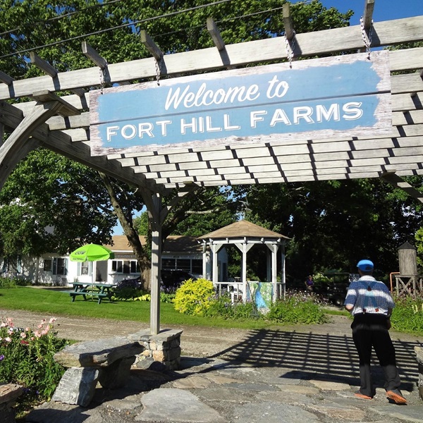 Fort Hill Farms is a family-owned farm offering seasonal activities such as lavender picking, corn mazes, and an ice cream stand for visitors of all ages. 