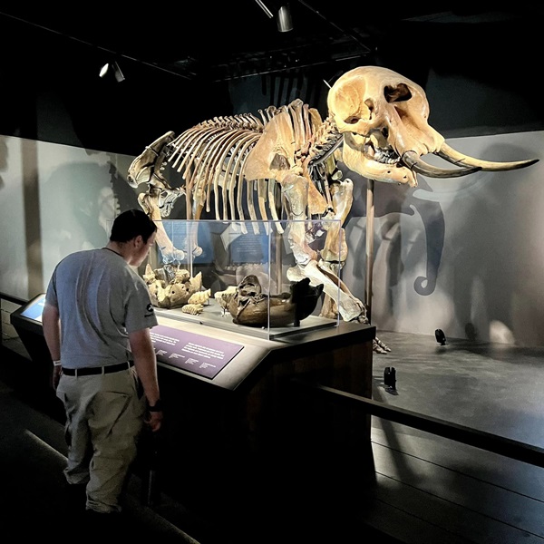 Big Bone Lick State Park is known for its rich fossil history, particularly its large deposits of prehistoric mammal bones, including those of mammoths and mastodons. 