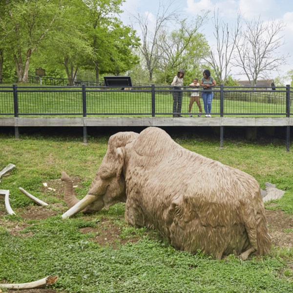 Big Bone Lick State Park hosts various educational programs and events throughout the year, including guided tours, workshops, and historical reenactments. 