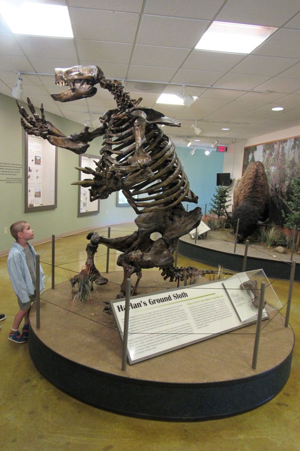 Big Bone Lick State Park   - Display Image