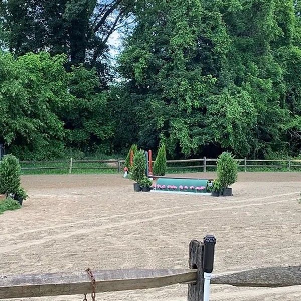 Reinbow's End Farm features state-of-the-art equestrian facilities, including spacious barns, riding arenas, and turnout paddocks. 