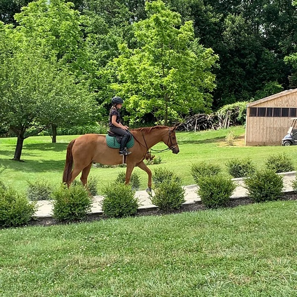 Riders can improve their skills, build confidence, and develop a deeper connection with their horses through personalized instruction. 