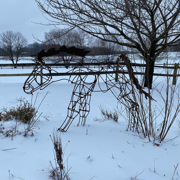 Reinbow's End Farm    - Webpage Image