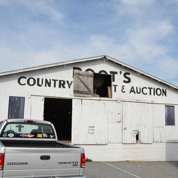 Manheim is home to the world's largest wholesale auto auction, the Manheim Auto Auction, which covers over 400 acres. 