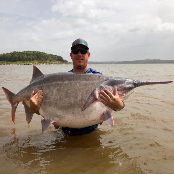 With more than 1,300 miles of shoreline, Grand Lake offers a scenic fishing experience, surrounded by the rolling hills of the Ozarks and beautiful coves where fish congregate. 