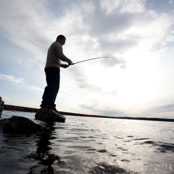 Grand Lake of the Cherokees near Grove is renowned for its excellent fishing opportunities, attracting anglers from all over for recreational and competitive fishing.