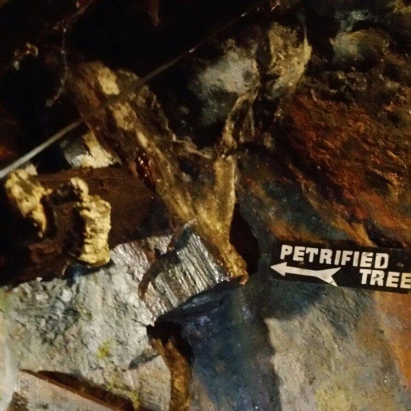 The site features exhibits on coal mining history, including artifacts from the period when the mine was operational, helping visitors with the historical context of coal mining in Pennsylvania. 