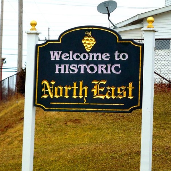 North East Chamber of Commerce  - Webpage Image