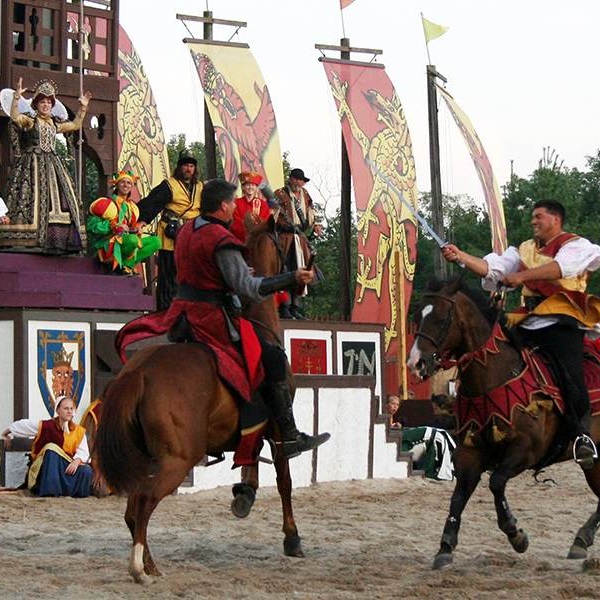 Pennsylvania Renaissance Faire  - Webpage Image