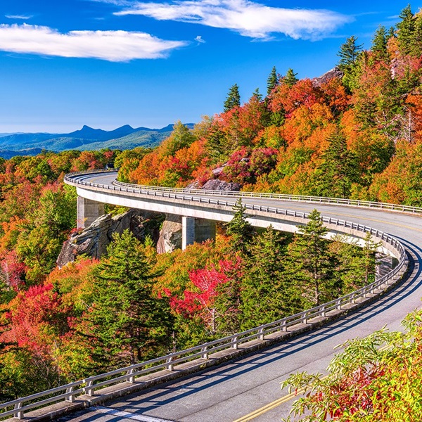 City of Travelers Rest   - Webpage Image