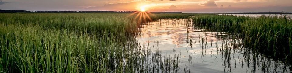 Gaffney Visitors Center & Art Gallery   - Header Image